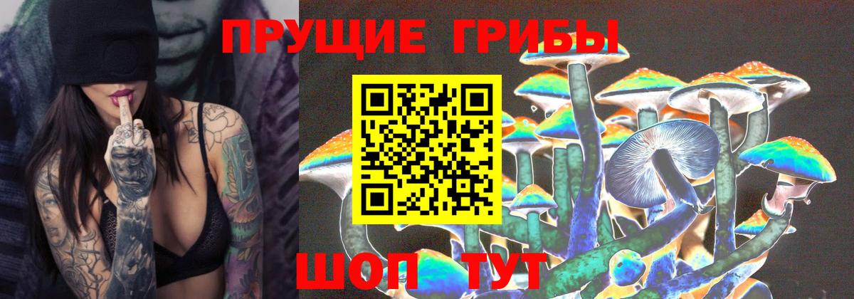 Псилоцибиновые грибы Cubensis  наркотики  Симферополь  Псилоцибиновые грибы Cubensis  Вход с VPN 