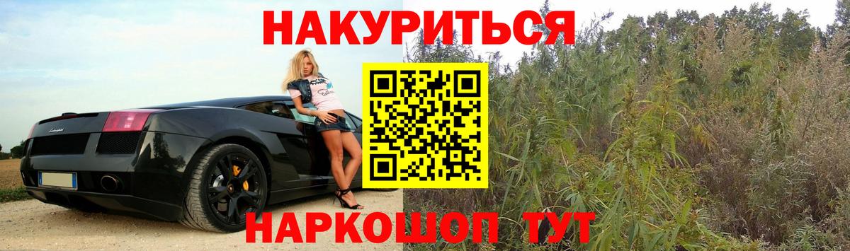 Шишки марихуана план  Конопля сатива  Симферополь  Бошки Шишки марихуана  Вход с VPN 